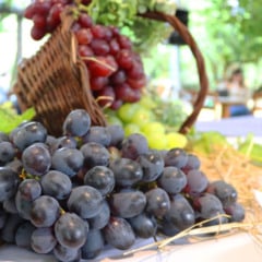 (Foto: Edemar Mealho) 