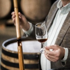 Foto: Freepik/Reprodu&ccedil;&atilde;o