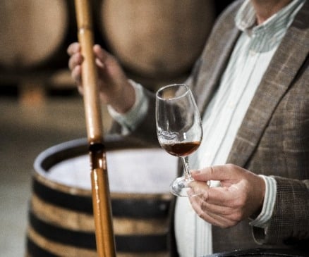 Foto: Freepik/Reprodução