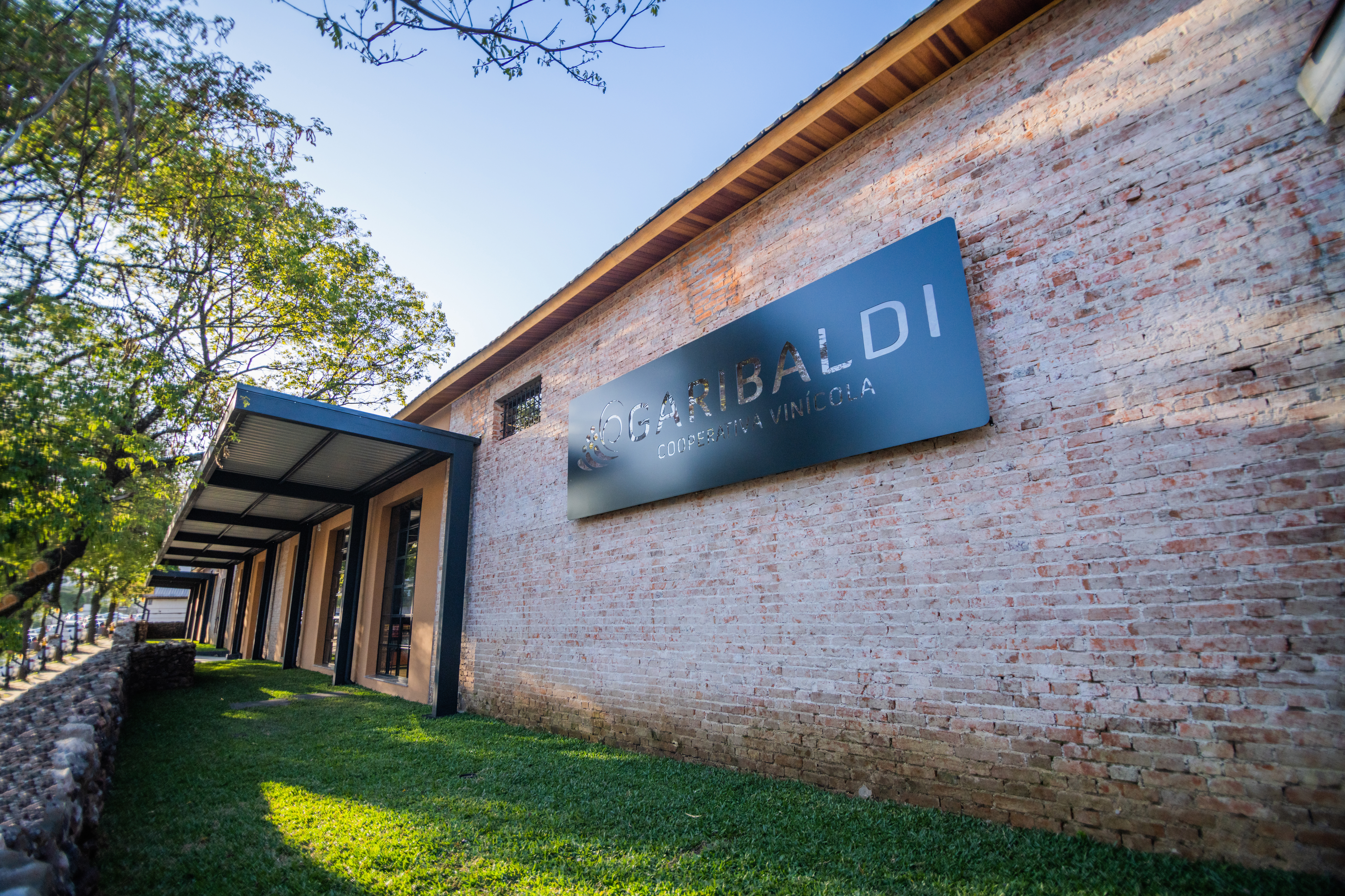 Cooperativa Vinícola Garibaldi celebra nesta quinta-feira 95 anos cultivando união, propósito e inovação