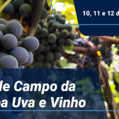 3&ordm; Dia de Campo Institucional da Embrapa Uva e Vinho
