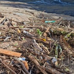 Foto: Robinho/Grupo RSCOM