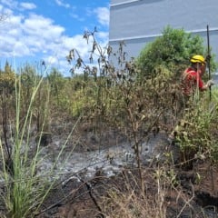 Foto: Robinho/Grupo RSCOM
