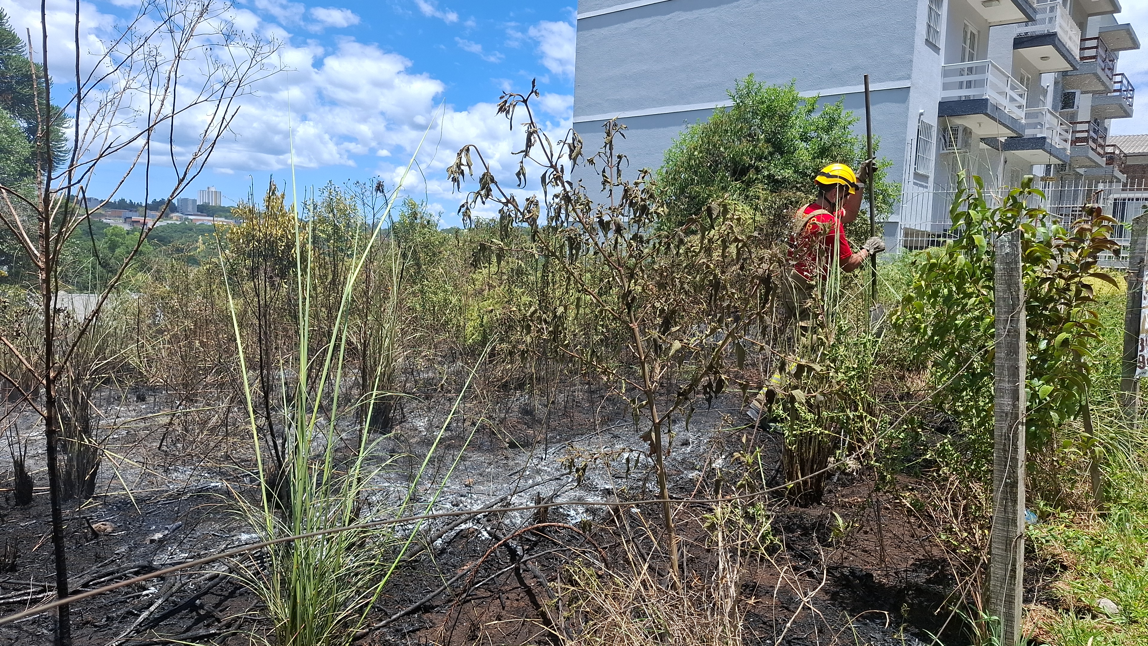 ​Incêndio de grandes proporções em vegetação mobiliza bombeiros em Caxias do Sul