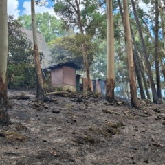 Foto: Robinho/Grupo RSCOM
