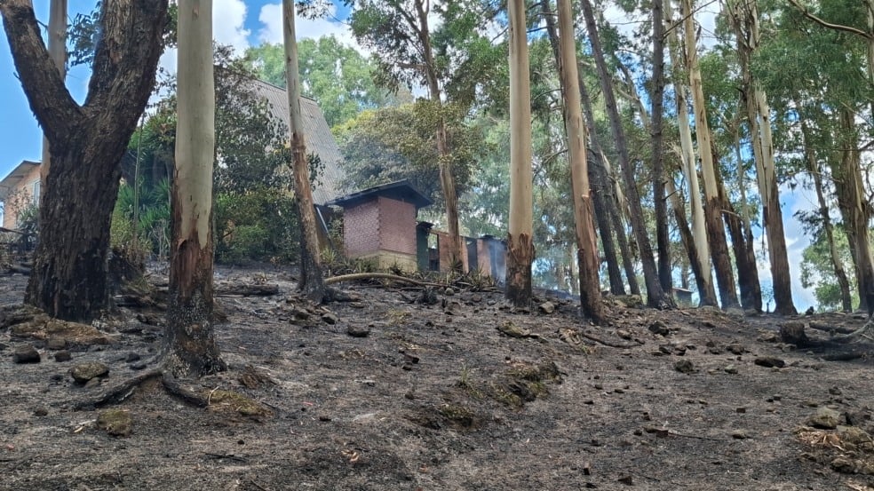 Foto: Robinho/Grupo RSCOM Foto: Robinho/Grupo RSCOM