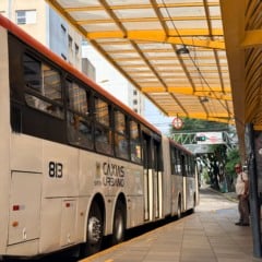 Foto: Marina Tusset/Grupo RSCOM