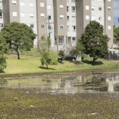 Lagoa do Parque O&aacute;sis | Foto: Andr&eacute;ia Copini