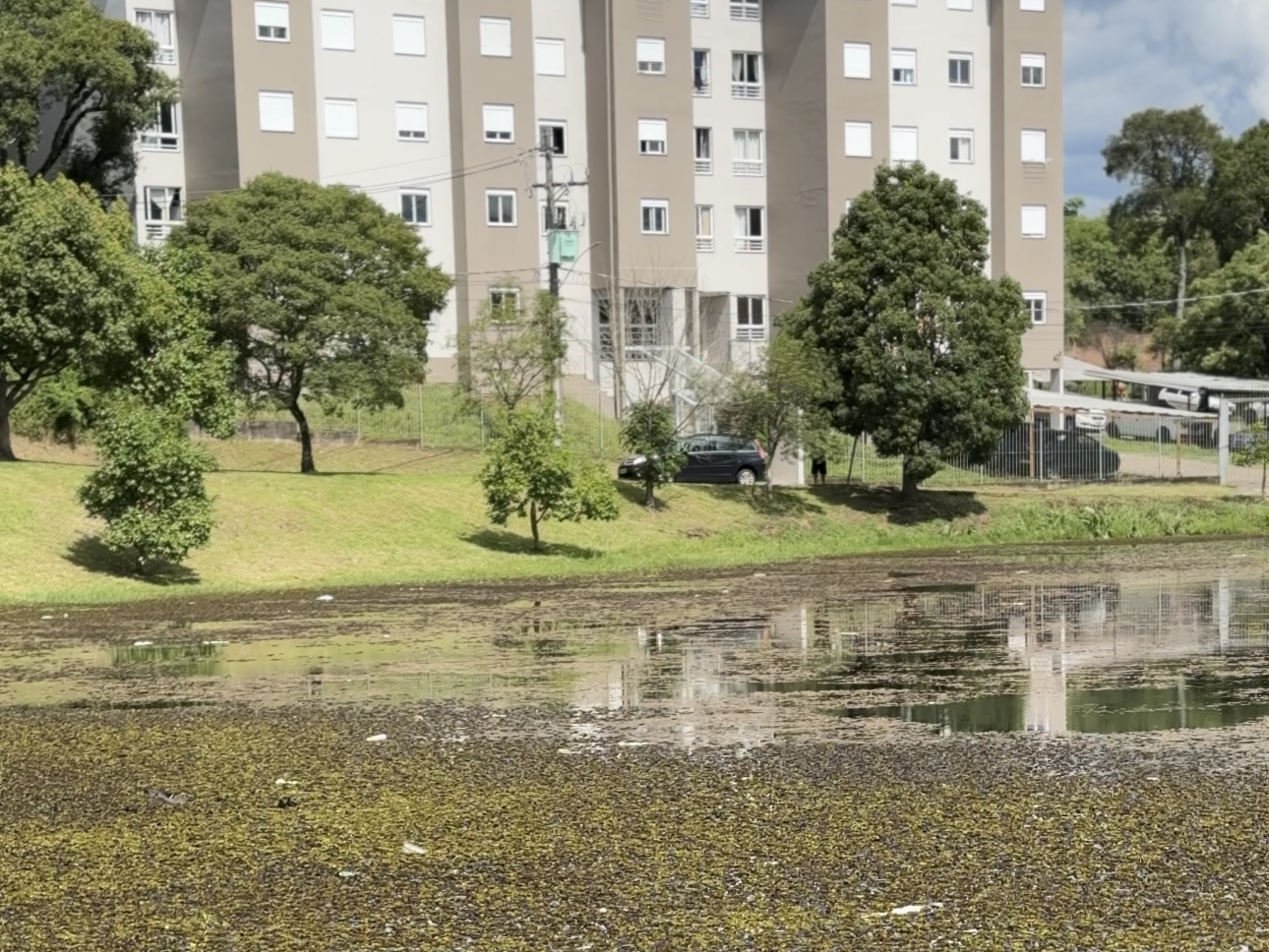 Prefeitura de Caxias do Sul anuncia mutirão de melhorias nas lagoas do Desvio Rizzo e do Parque Oásis