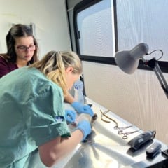 Fotos: Romila Amaral/Divulga&ccedil;&atilde;o