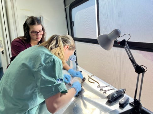 Fotos: Romila Amaral/Divulgação