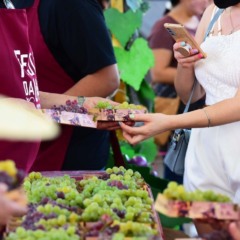 Foto: SMAPA/Divulga&ccedil;&atilde;o