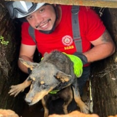 Foto: Divulga&ccedil;&atilde;o