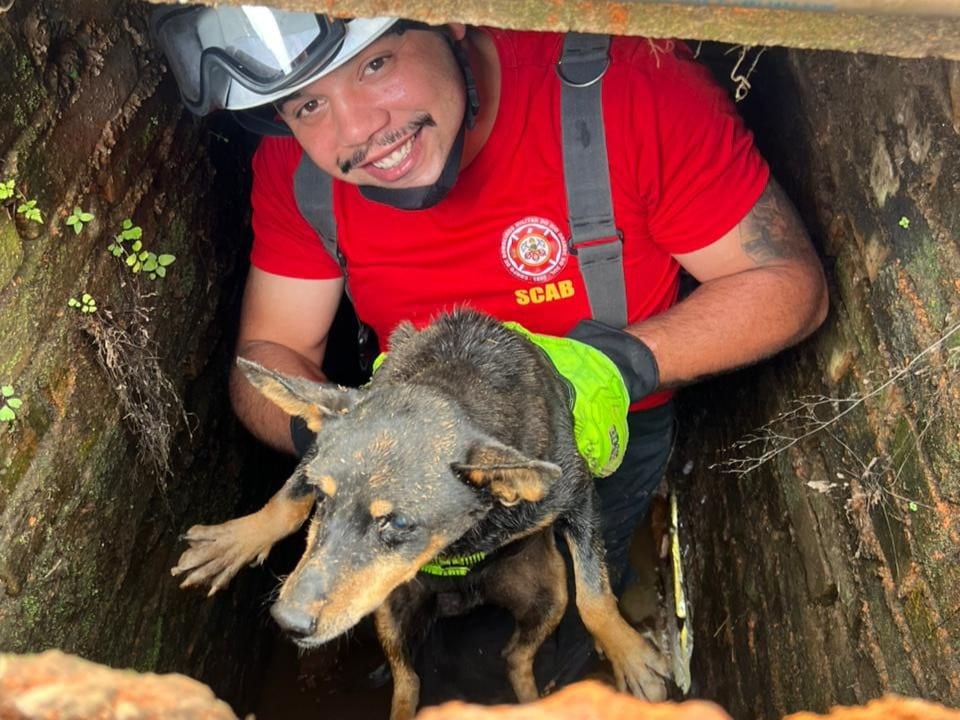 Cachorro preso em bueiro é resgatado por bombeiros em Ipê