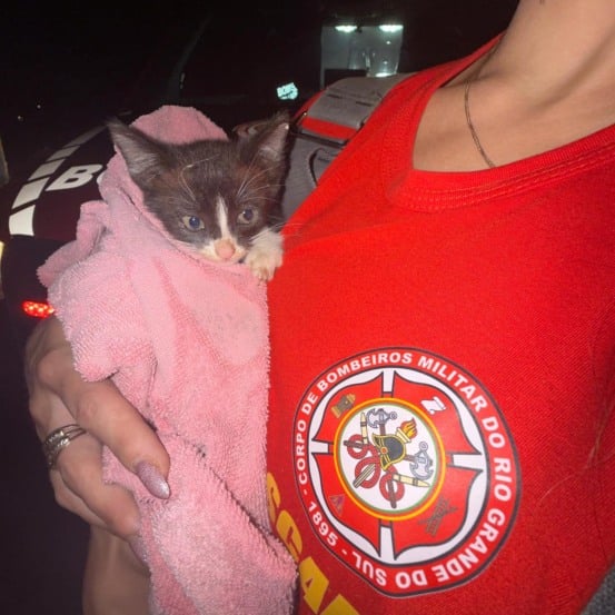 Foto: Scab/Divulgação