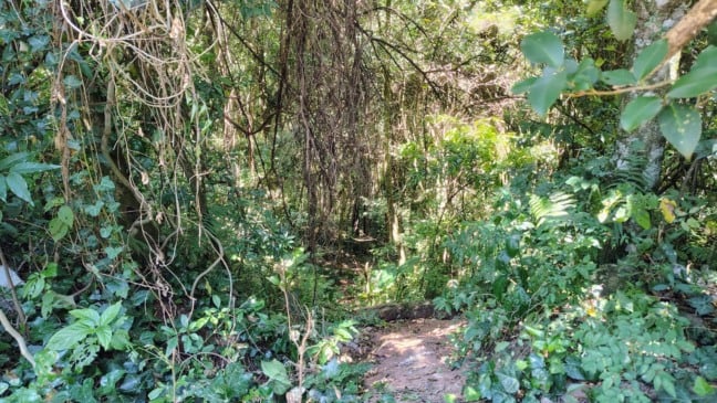 Foto: Patrick Alessi/Grupo RSCOM