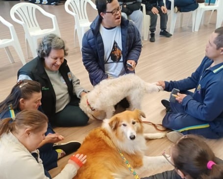 (Foto: Divulgação) 