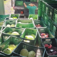 Foto: Andr&eacute; Vidmann/Codeca