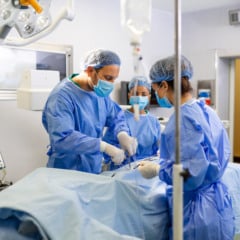 Foto: Stefamerpik/Reprodu&ccedil;&atilde;o