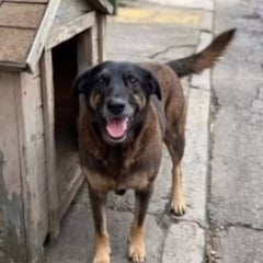 Foto: Redes Sociais/Reprodu&ccedil;&atilde;o