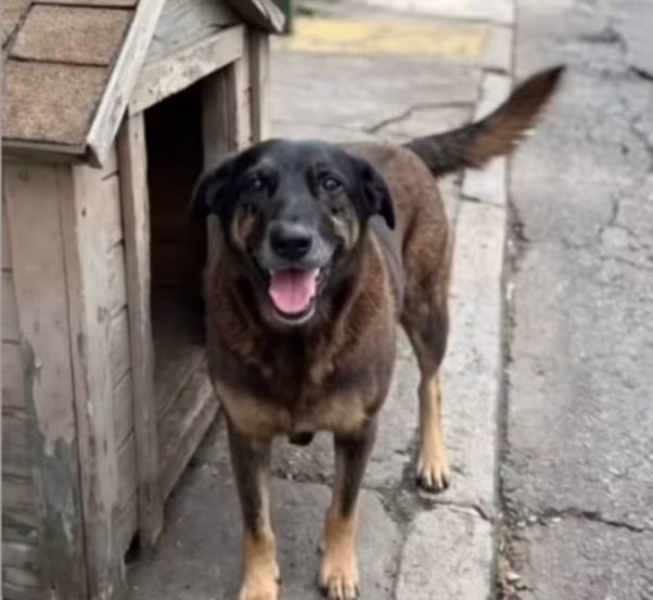 Foto: Redes Sociais/Reprodução