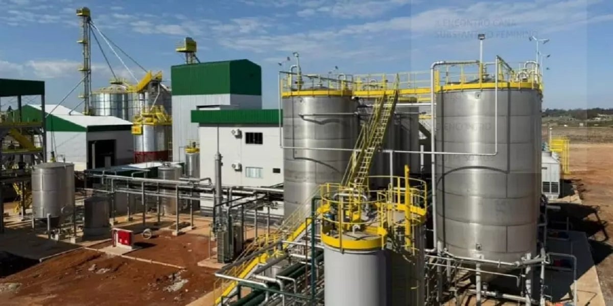 Primeira usina de etanol de trigo do Brasil entra em operação no RS