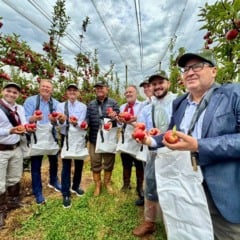 Colheita da ma&ccedil;&atilde; &eacute; oficialmente aberta no Rio Grande SulA Serra Ga&uacute;cha &eacute; a grande produtora da fruta, que responde por aproximadamente 47% da produ&ccedil;&atilde;o nacional.
Reda&ccedil;&atilde;o 
Por: Reda&ccedil;&atilde;o Fonte: Secom RS
07/02/2026 &agrave;s 21h41 Atualizada em 08/02/2026 &agrave;s 10h21
Colheita da ma&ccedil;&atilde; &eacute; oficialmente aberta no Rio Grande SulRio Grande do Sul &eacute; um dos maiores produtores e exportadores de ma&ccedil;a do Brasil. (Foto: Cassiane Os&oacute;rio/Ascom Seapi)