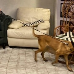 Fotos: BM/Divulga&ccedil;&atilde;o