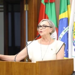 Foto: Manoela da Rosa/C&acirc;mara de vereadores