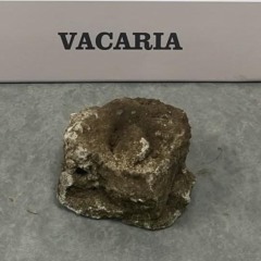 Homem &eacute; preso por tentar matar outro com pedra no Centro de Vacaria