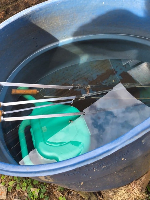 Todos os registros estão concentrados na mesma área do bairro Nossa Senhora da Saúde. (Foto: Reprodução)