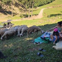 Caminhos de Pedra registra crescimento no fluxo de turistas