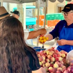 Foto: Marina Tusset/Grupo RSCOM