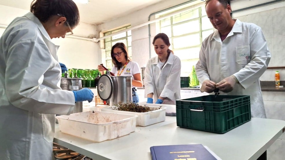 Safra de vinhos 2026 começa a ser avaliada no laboratório de referência do Estado Safra de vinhos 2026 começa a ser avaliada no laboratório de referência do Estado