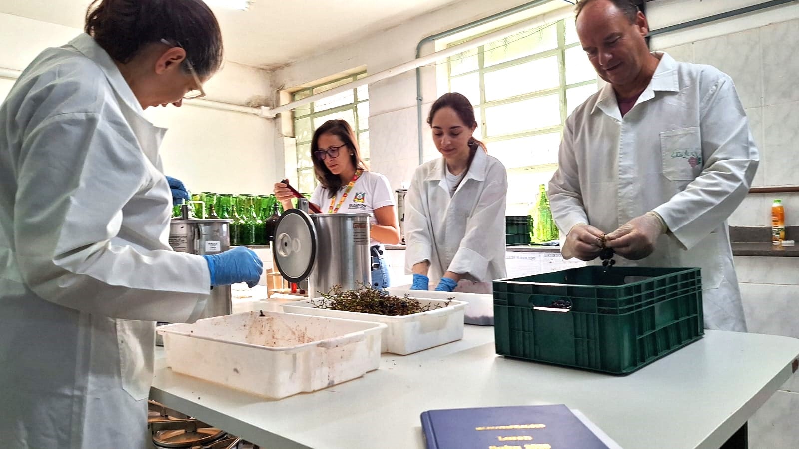 Laboratório de Caxias do Sul inicia análises da safra de vinhos 2026 no RS