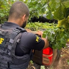 Foto: PRF/Divulga&ccedil;&atilde;o