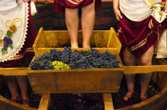 Foto: Pisa da uva/Crédito Juliane Tonin