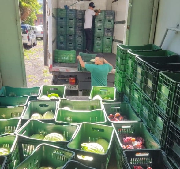 Foto: André Vidmann/Codeca