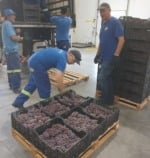 Foto: Jean Carlo Rodrigues Machado/SMAPA