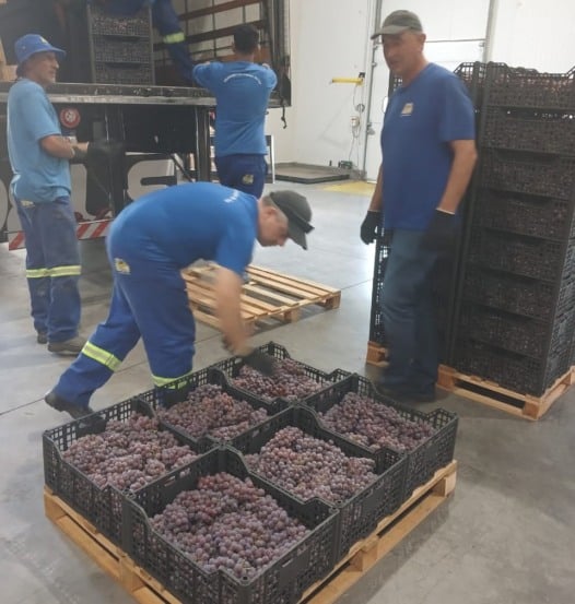 Foto: Jean Carlo Rodrigues Machado/SMAPA