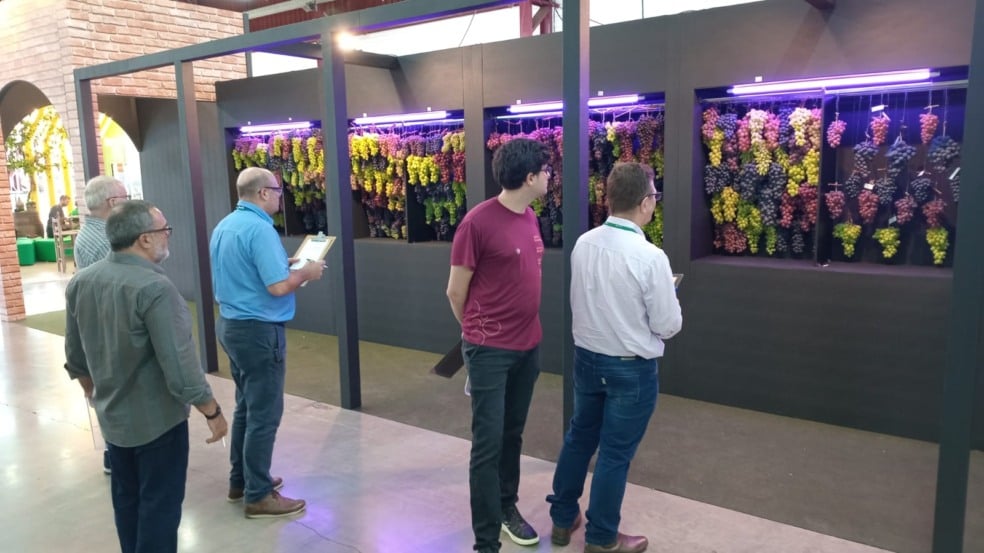 Foto: Thales Bordignon Milanesi/Divulgação Foto: Thales Bordignon Milanesi/Divulgação