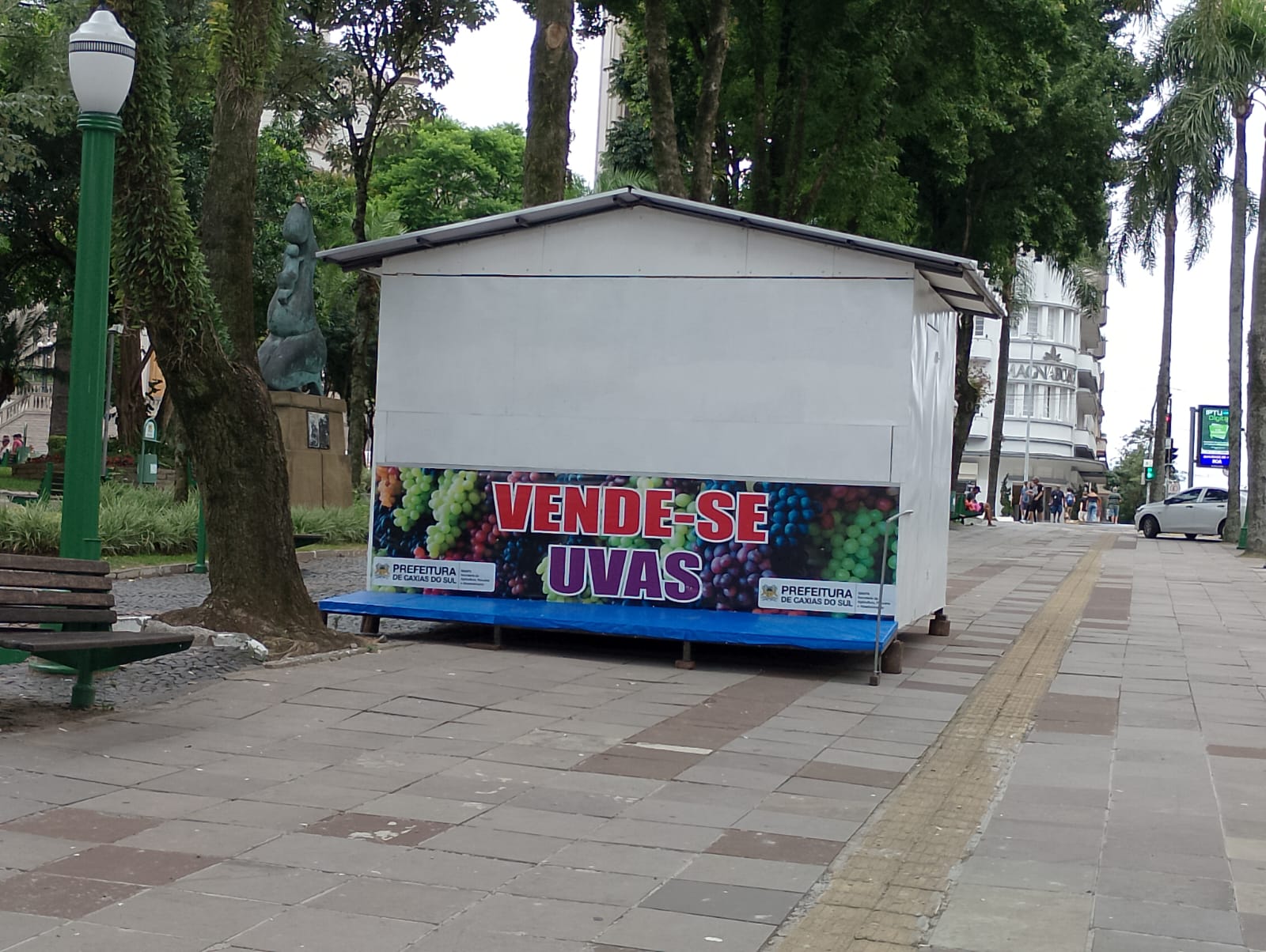 Venda de uva direto do produtor começa nesta quarta-feira (4) no centro de Caxias do Sul