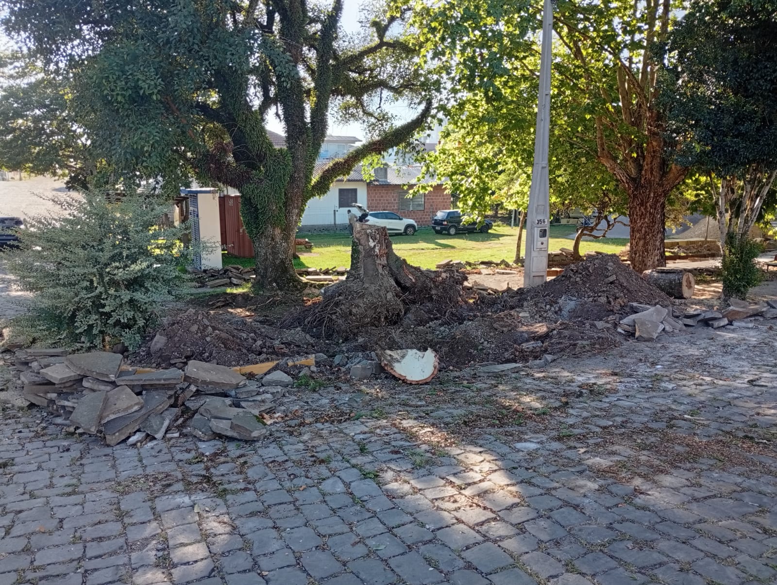 Moradora questiona corte de árvores em praça do bairro Bela Vista, em Farroupilha