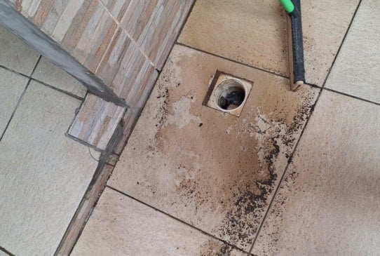 Fotos: Especial/Leouve