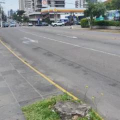 Avenida Osvaldo Aranha