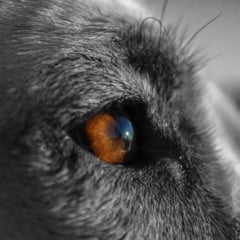 Foto: Pixabay/Divulga&ccedil;&atilde;o