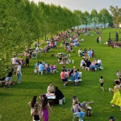 Foto: Reprodu&ccedil;&atilde;o Site Vinhos dos Altos Montes/Divulga&ccedil;&atilde;o