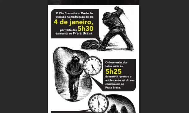 Foto: Infográfico/Polícia Civil de SC
