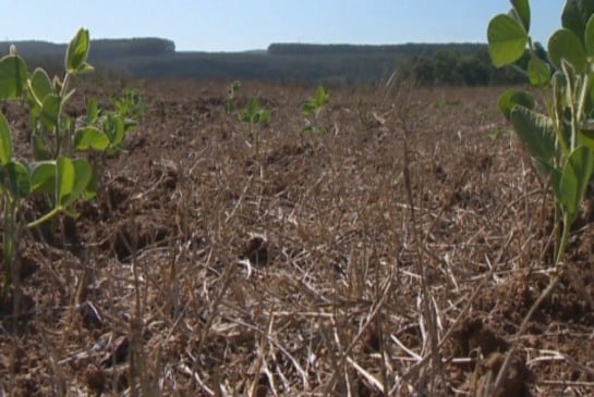 Volume de chuvas está quase 50% abaixo da média histórica. (Foto: Reprodução)