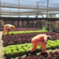 Fotos: Ascom Pol&iacute;cia Penal/Divulga&ccedil;&atilde;o